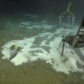 ROPOS Dive 1461 Highlights - Core Samples
