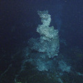 First Jason Dive at Axial Seamount