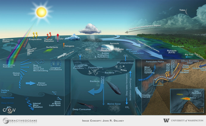 Earth-Ocean Processes Top Half