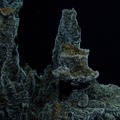 Castle Vent at Axial Seamount