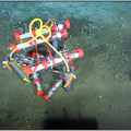 First ROV dive at Southern Hydrate Ridge