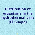 Lim Yih En: Distribution of organisms on El Guapo