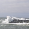 Swell breaking on Newport jetty