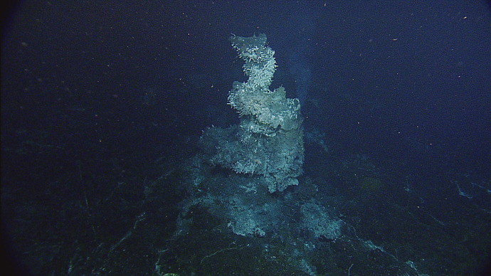 Black Smoker at ASHES Hydrothermal Field