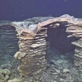 Ancient Columns of the Deep