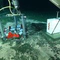 Hagfish Investigate Flow Meters at SHR