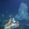 The First High Definition Imagery Live From the Seafloor