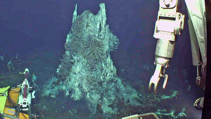 Lighting up Axial Seamount Again