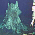 Lighting up Axial Seamount Again