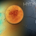 Methane Hydrates Southern Hydrate Ridge