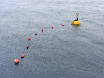 Buoy tied to end of cable segment