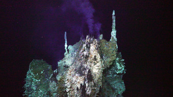 Inferno Hydrothermal Vent, 2018