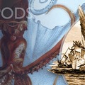 Cephalopods Banner