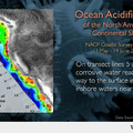 Ocean Acidification