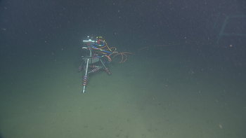 Endurance Camera on seafloor