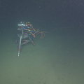 Endurance Camera on seafloor