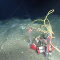 Dive R1772 Highlights Southern Hydrate Ridge