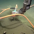 Dive R1775 Highlights Oregon Offshore