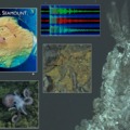 Axial Seamount Website