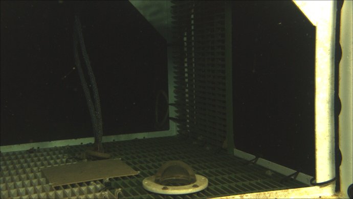Half-Size Test Frame Camera Dome